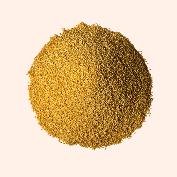 Foxtail Millet Sample