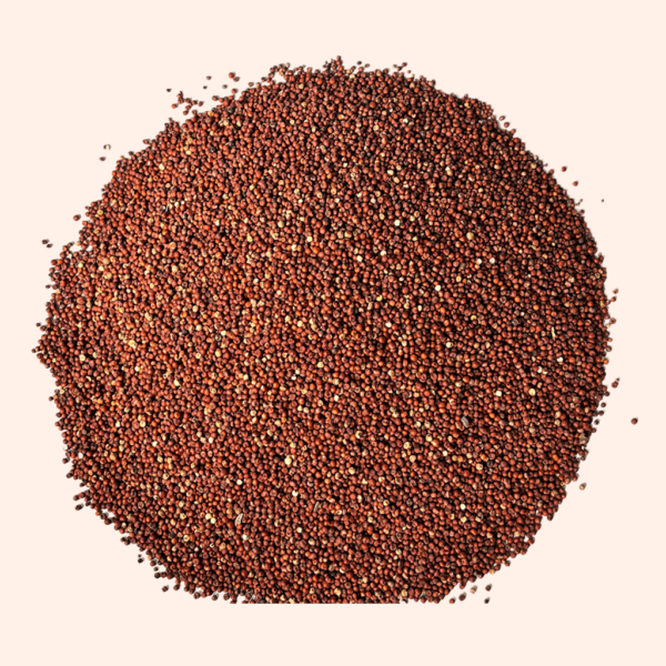 Ragi / Finger Millet / Nachini: Nutritional Powerhouse 500g