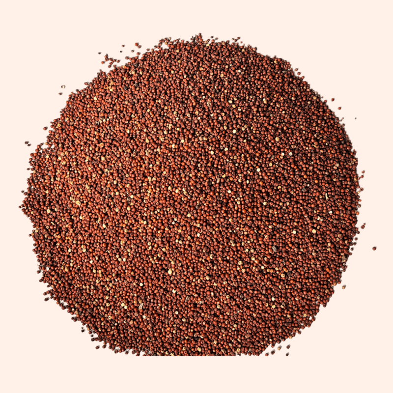 Ragi Sample